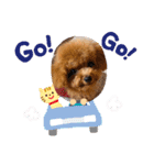 おさとGP（個別スタンプ：35）