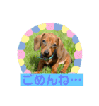 Julie ＆ Kengo（個別スタンプ：5）