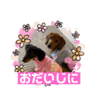 Julie ＆ Kengo（個別スタンプ：22）