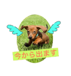 Julie ＆ Kengo（個別スタンプ：24）