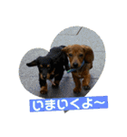 Julie ＆ Kengo（個別スタンプ：25）