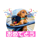 Julie ＆ Kengo（個別スタンプ：27）