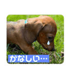 Julie ＆ Kengo（個別スタンプ：30）