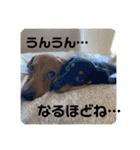 Julie ＆ Kengo（個別スタンプ：31）