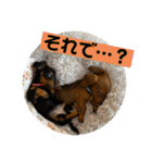 Julie ＆ Kengo（個別スタンプ：32）