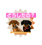 Julie ＆ Kengo（個別スタンプ：33）