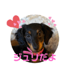 Julie ＆ Kengo（個別スタンプ：36）