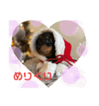 Julie ＆ Kengo（個別スタンプ：38）