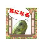 ヘルマンリクガメ りくちゃん（個別スタンプ：3）