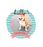 こすずスタンプkosuzu（個別スタンプ：4）