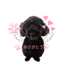 ナナちゃんず（個別スタンプ：2）