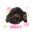ナナちゃんず（個別スタンプ：3）