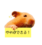 だいこんの楽しい×3毎日（個別スタンプ：2）