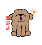 顔あげトイプー（個別スタンプ：1）