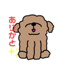 顔あげトイプー（個別スタンプ：4）
