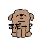 顔あげトイプー（個別スタンプ：5）