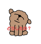 顔あげトイプー（個別スタンプ：8）