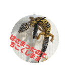 レオパのペロたん（個別スタンプ：4）
