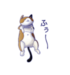 ぬいぐるみのねこさん（個別スタンプ：1）
