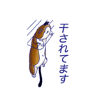 ぬいぐるみのねこさん（個別スタンプ：4）