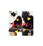 春三姉妹ファミリー（個別スタンプ：5）