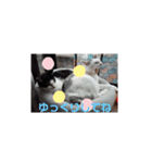 春三姉妹ファミリー（個別スタンプ：8）