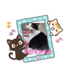 春三姉妹ファミリー（個別スタンプ：11）