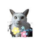 春三姉妹ファミリー（個別スタンプ：14）