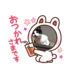春三姉妹ファミリー（個別スタンプ：25）