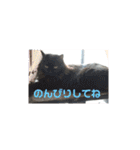 春三姉妹ファミリー（個別スタンプ：32）