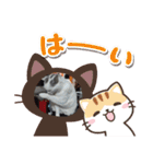 春三姉妹ファミリー（個別スタンプ：33）