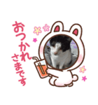 春三姉妹ファミリー（個別スタンプ：40）