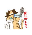 ぬこまみれ (ねこ)（個別スタンプ：3）