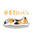 ぬこまみれ (ねこ)（個別スタンプ：9）