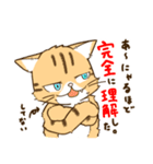 ぬこまみれ (ねこ)（個別スタンプ：13）