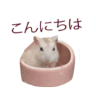 プディングマウスの恋愛日記♡♡（個別スタンプ：1）