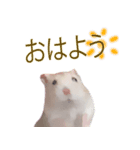 プディングマウスの恋愛日記♡♡（個別スタンプ：2）