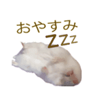 プディングマウスの恋愛日記♡♡（個別スタンプ：3）