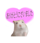 プディングマウスの恋愛日記♡♡（個別スタンプ：6）
