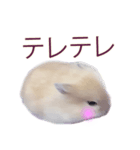 プディングマウスの恋愛日記♡♡（個別スタンプ：7）