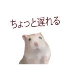 プディングマウスの恋愛日記♡♡（個別スタンプ：9）