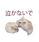プディングマウスの恋愛日記♡♡（個別スタンプ：11）