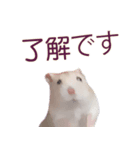 プディングマウスの恋愛日記♡♡（個別スタンプ：12）