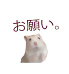 プディングマウスの恋愛日記♡♡（個別スタンプ：14）