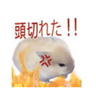 プディングマウスの恋愛日記♡♡（個別スタンプ：17）