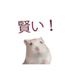 プディングマウスの恋愛日記♡♡（個別スタンプ：21）