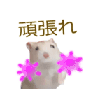 プディングマウスの恋愛日記♡♡（個別スタンプ：23）