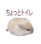 プディングマウスの恋愛日記♡♡（個別スタンプ：24）