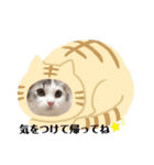 我が家のクロエちゃん  no.1（個別スタンプ：13）