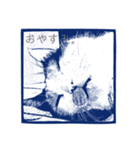 三毛猫タマと、インコのメロンで会話（個別スタンプ：14）